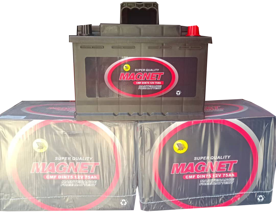 Vehicle Battery